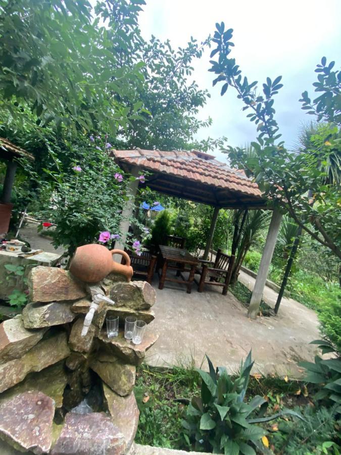 فندق Holiday House Chkonia باتومي المظهر الخارجي الصورة