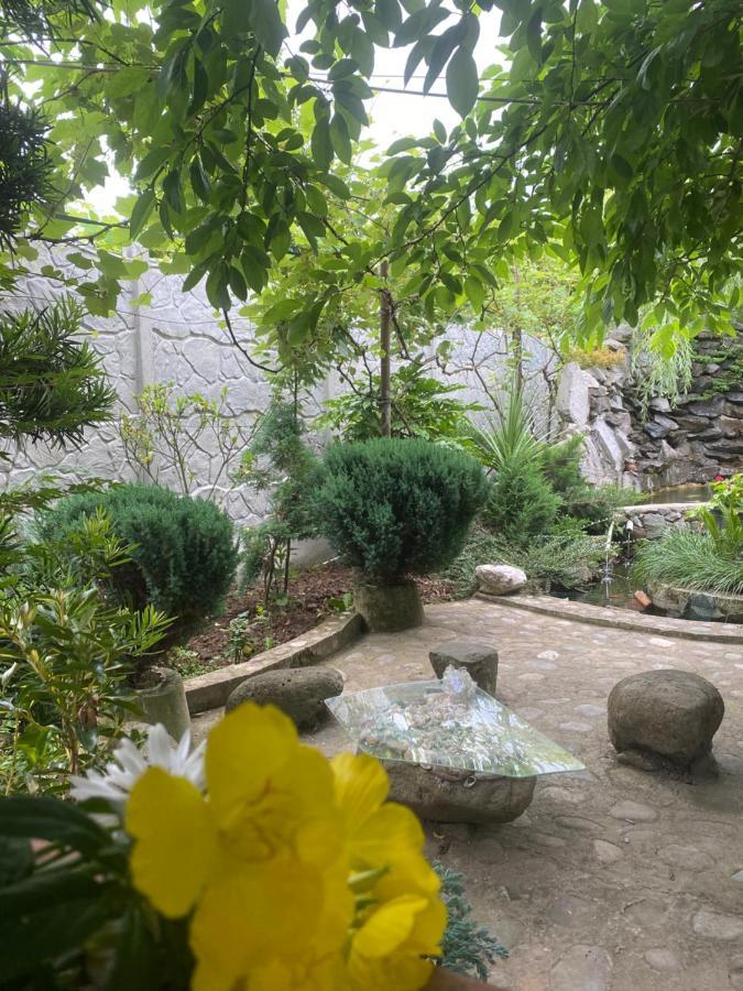فندق Holiday House Chkonia باتومي المظهر الخارجي الصورة