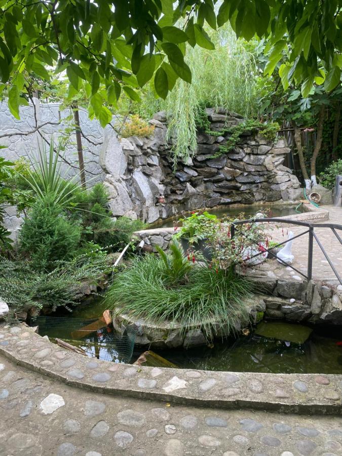 فندق Holiday House Chkonia باتومي المظهر الخارجي الصورة