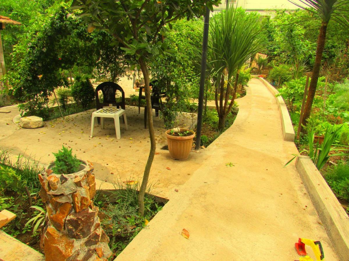 فندق Holiday House Chkonia باتومي المظهر الخارجي الصورة