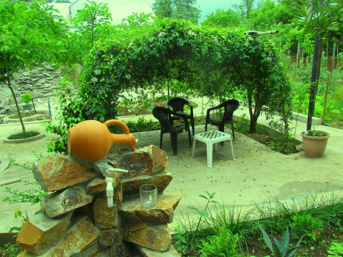 فندق Holiday House Chkonia باتومي المظهر الخارجي الصورة
