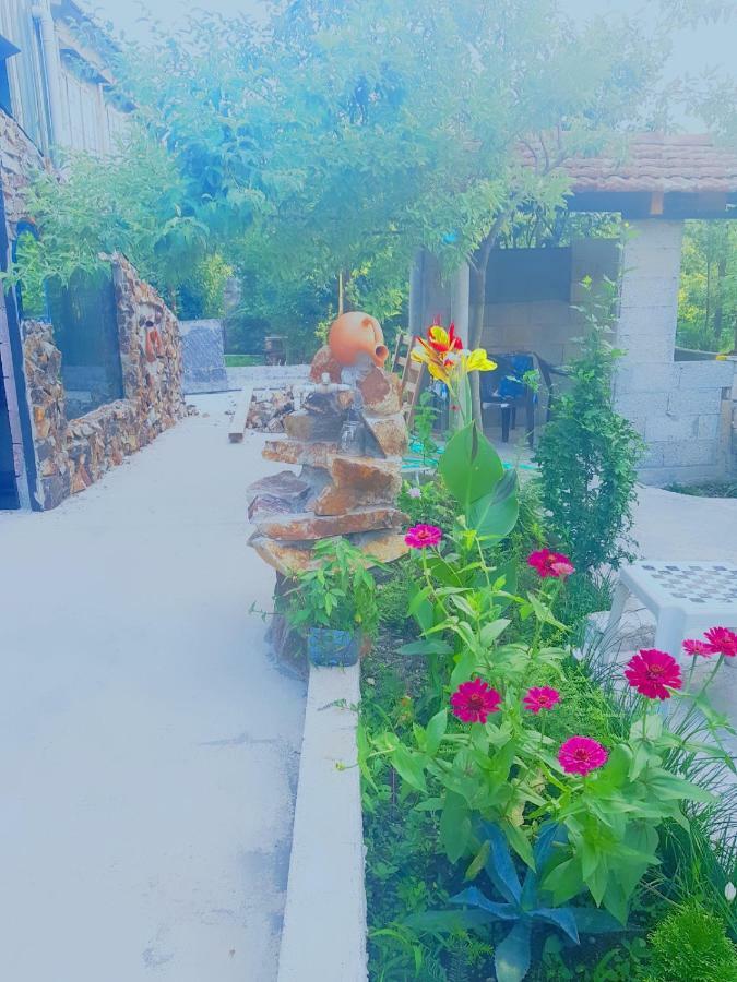 فندق Holiday House Chkonia باتومي المظهر الخارجي الصورة
