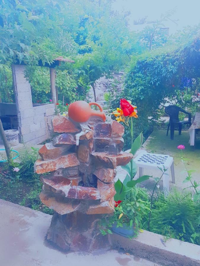 فندق Holiday House Chkonia باتومي المظهر الخارجي الصورة