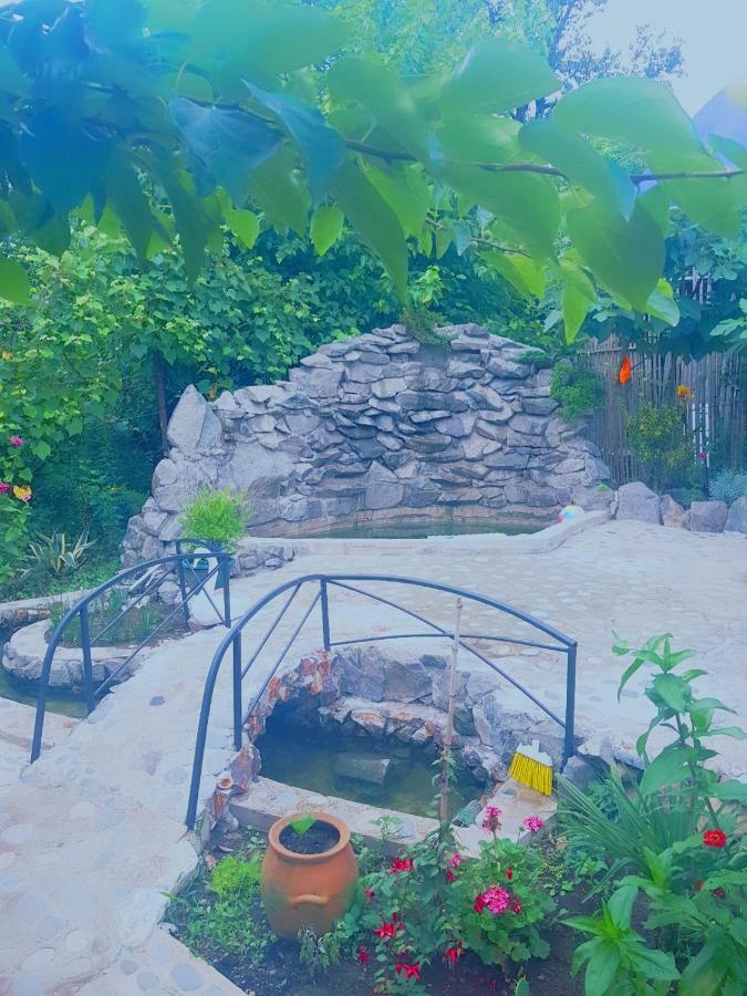 فندق Holiday House Chkonia باتومي المظهر الخارجي الصورة