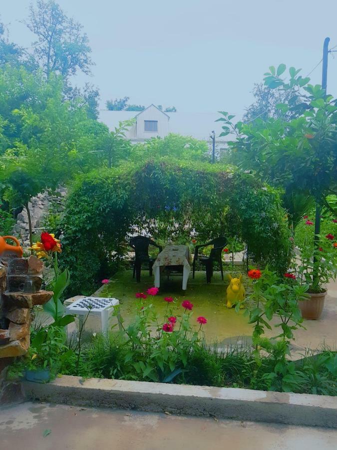فندق Holiday House Chkonia باتومي المظهر الخارجي الصورة