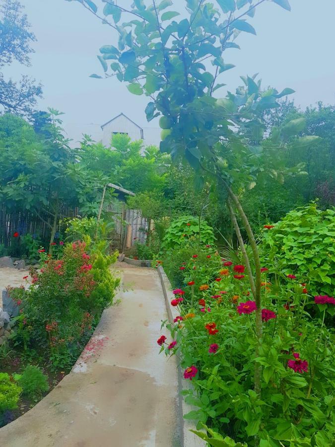 فندق Holiday House Chkonia باتومي المظهر الخارجي الصورة